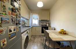 Apartament de 2 camere, 40 mp, semidecomandat, zona Faget 