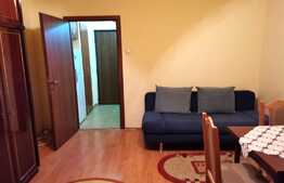 Garsoniera de 25 mp, decomandata, zona Casa Piratilor