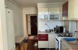 Apartament de 2 camere, semidecomandat, priveliște deosebită, zona Gemenii