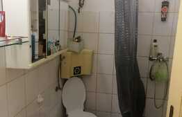 Casa 40 mp utili, 1 camera, curte comuna cu inca un vecin, central!