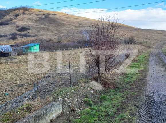 Teren de vânzare Apahida - 76528TV | BLITZ Cluj-Napoca | Poza2