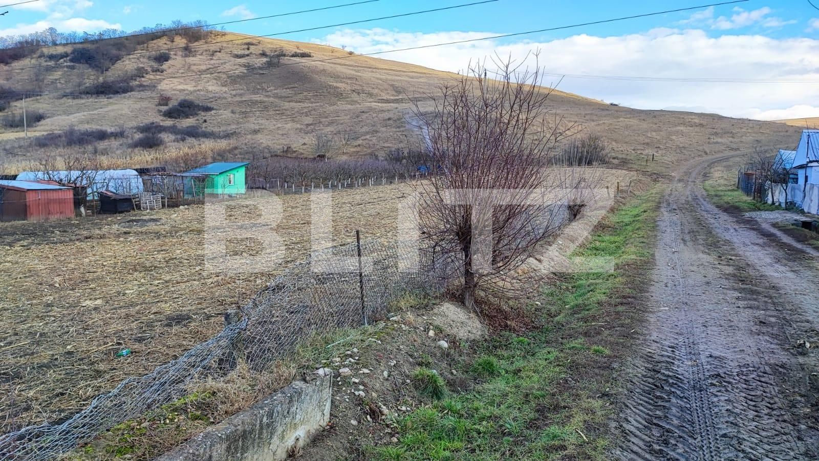 Teren de vânzare Apahida - 76528TV | BLITZ Cluj-Napoca | Poza2