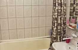 Apartament 2 camere de vanzare, 45 mp utili, zona Al. Vlahuta, cu panorama