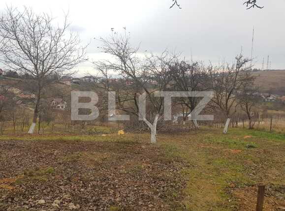 Teren de vânzare Feleacu - 76532TV | BLITZ Cluj-Napoca | Poza2