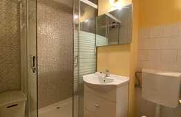 Garsoniera decomandata, pet friendly, 30 mp, zona strazii Fabricii