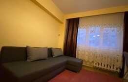 Garsoniera decomandata, pet friendly, 30 mp, zona strazii Fabricii