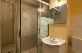 Garsoniera decomandata, pet friendly, 30 mp, zona strazii Fabricii