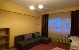 Garsoniera decomandata, pet friendly, 30 mp, zona strazii Fabricii