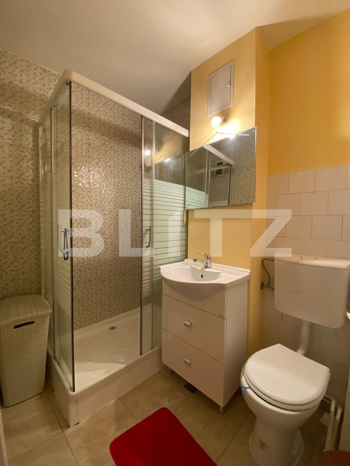 Garsonieră de închiriat Marasti - 76536AI | BLITZ Cluj-Napoca | Poza6