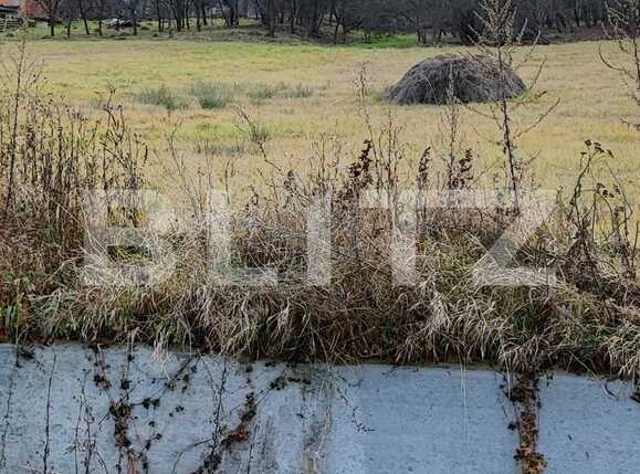 Teren de vânzare Chinteni - 76537TV | BLITZ Cluj-Napoca | Poza1