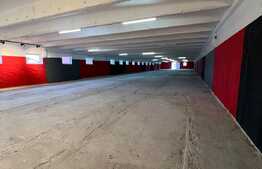 Hala industrială pretabilă pentru depozitare sau activități propii, 750 mp, parcari, Floresti! 