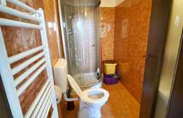 Garsoniera de 36 mp, balcon 5 mp, placut mobilata si utilata, zona Auchan Iris