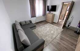 Casa compusa din 2 corpuri: 160mp utili si 1065 mp teren; Dambu Rotund!