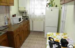 Apartament 2 camere de inchiriat, 44 mp utili, zona Horea
