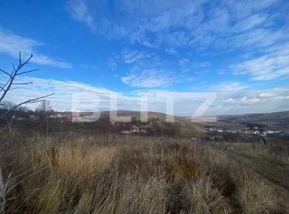 Teren de vânzare Sopor - 76669TV | BLITZ Cluj-Napoca | Poza2