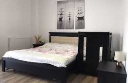 Apartament 2 camere, mobilat si utilat, balcon, zona strazii Eugen Ionescu