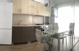 Apartament 2 camere, mobilat si utilat, balcon, zona strazii Eugen Ionescu