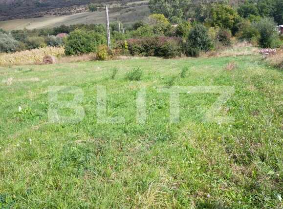 Teren de vânzare Chinteni - 76686TV | BLITZ Cluj-Napoca | Poza1