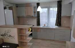 Apartament de 2 camere, 55 mp, 2 balcoane, zona strazii Fabricii