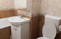 Apartament 2 camere, 50 mp, balcon, zona strazii Luceafarului 