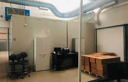 Hala cu temperatura controlata, camera frig, multiple facilitati in zona Clujana 