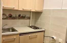 Garsoniera mobilata modern, 24 mp, zona Expo Transilvania