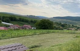 Oportunitate ! Teren intravilan 490 mp, cu autorizație construcție casa, front 21 ml Suceagu, panorama !   