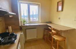 Garsoniera de 36 mp, balcon 10 mp, priveliște, zona Petrom 