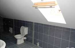 Vanzare 3 camere, 109 mp la mansarda, zona strazii Padurii