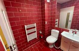 Garsoniera semidecomandata, 45 mp, parcare, zona Florilor