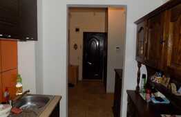 Apartament 2 camere decomandate, zona Porii