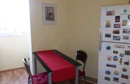 Garsoniera decomandata, 30 mp, AC, zona strazii Primaverii