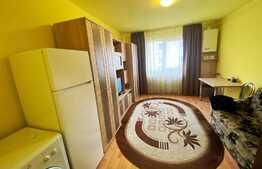 Garsoniera de 22 mp, etaj intermediar, zona Fabricii