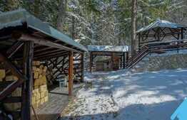 Casa in Predeal, unde natura este la ea acasa!