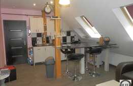 Vanzare mansarda cu 2 camere, 69 mp, mobilata, utilata! Zona Porii!