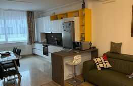 Apartament de lux, 2 camere, 55 mp, parcare, zona Stadionului!