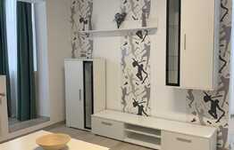 Apartament 2 camere, 58 mp, renovat recent, Steagu 