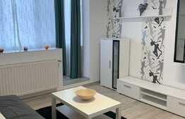 Apartament 2 camere, 58 mp, renovat recent, Steagu 