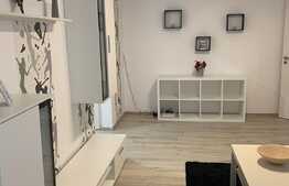 Apartament 2 camere, 58 mp, renovat recent, Steagu 