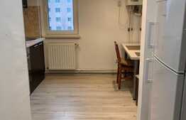 Apartament 2 camere, 58 mp, renovat recent, Steagu 