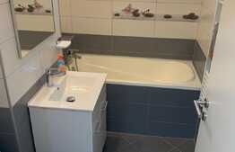 Apartament 2 camere, 58 mp, renovat recent, Steagu 