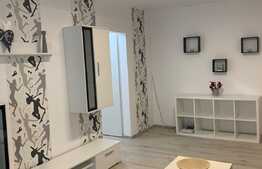 Apartament 2 camere, 58 mp, renovat recent, Steagu 