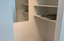 Apartament 2 camere, 58 mp, renovat recent, Steagu 