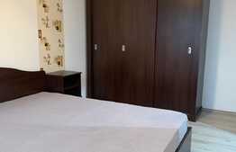Apartament 2 camere, 58 mp, renovat recent, Steagu 