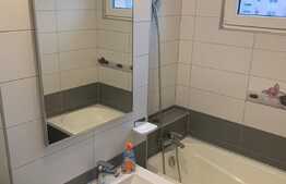 Apartament 2 camere, 58 mp, renovat recent, Steagu 