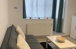Apartament 2 camere, 58 mp, renovat recent, Steagu 