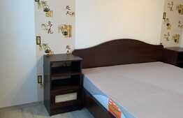 Apartament 2 camere, 58 mp, renovat recent, Steagu 