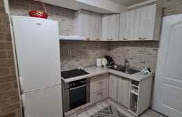 Apartament de 27 mp, mobilat si utilat, zona Teilor