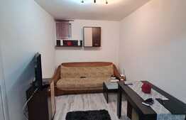 Apartament de 27 mp, mobilat si utilat, zona Teilor