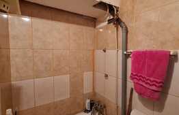 Apartament de 27 mp, mobilat si utilat, zona Teilor